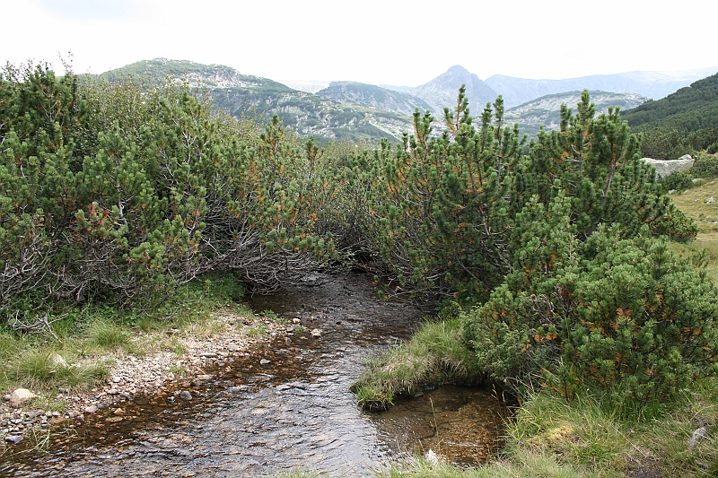Bulgaria 2008 529